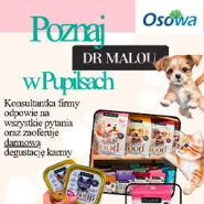 Dzień z zoofizjoterapeutką w Pupilsi