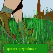 Spacery przyrodnicze w każdej dzielnicy