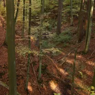 Na tropach lądolodu w Trójmiejskim PK