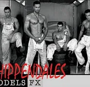 VIVA PARTY & CHIPPENDALES - MODELS FX