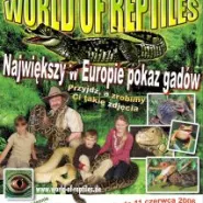 Wystawa gadów i płazów "World of Reptiles"
