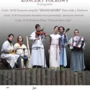Koncert folkowy