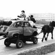YUGO PARTY