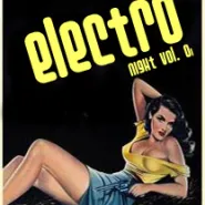 Electro Night Vol. 01 / homming Party