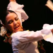 Arte Flamenco
