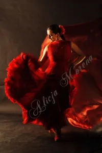 Flamenco - nowa grupa dla początkujących 