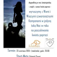 DogWalking z canac w Noc Świętojańską