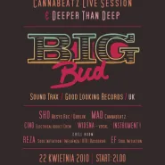 BIG BUD - Cannabeatz Live Session - Deeper Than Deep