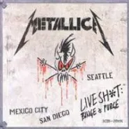 Nietypowy ekran stoczniowy - Metallica