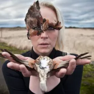 Myrra Rós,  Danimal 