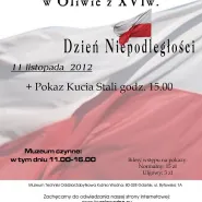 Dzień Niepodległości 2012-Kujemy Orła