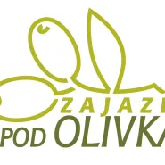 Andrzejki w Olivce