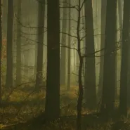 Wieczorny spacer po pracy 