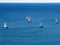 Błękitna flotylla