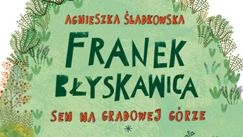Książka "Franek Błyskawica"
