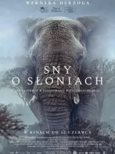 Sny o słoniach