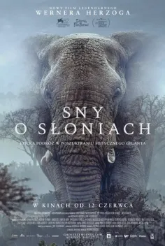 Sny o słoniach