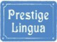 Lektor Języka Angielskiego dla Dzieci Lawendowe Wzgórze