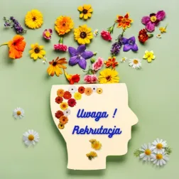 Terapeuta SI ( Fizjoterapeuta / Psycholog / Pedagog) Gdańsk