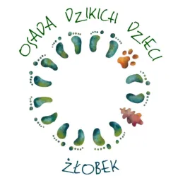 Opiekunka dziecięca w żłobku