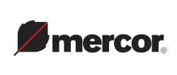 Dyrektor/ka Finansowy/a