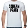 Uczciwy i pracowity pracownik szukam stałej pracy za granicom lub w Polsce