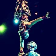 Circus