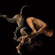 Memling, czyli historia końca świata