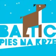 Baltic. Pies na krze online