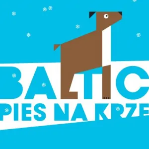 Baltic. Pies na krze