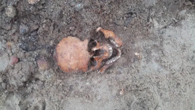 Wykopywane szczątki pochodzą prawdopodobnie z czasów II wojny światowej.