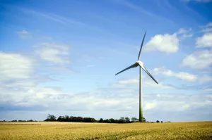 Gdańska Energa już od dłuższego czasu interesuje się projektami farm wiatrowych na terenie Polski. 