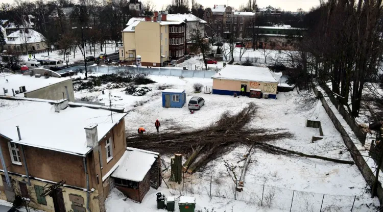 Duża część drzew stojących na terenach przydworcowych w Sopocie została wycięta.