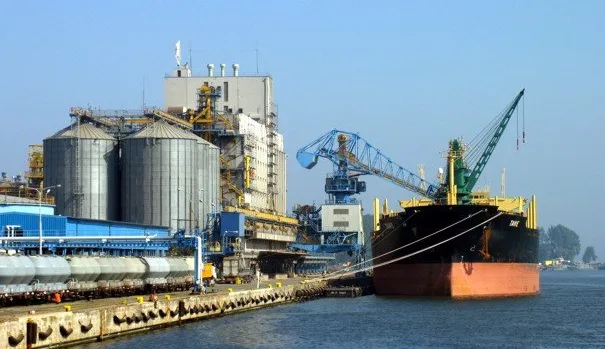 W 2012 roku przeładowano w Gdyni 1,78 miliona ton ładunków zbożowych.
