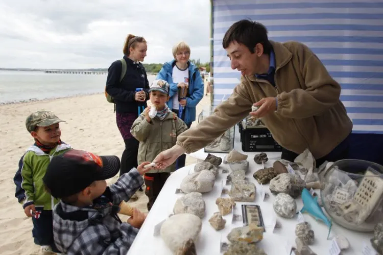 Podczas XI Bałtyckiego Festiwalu Nauki przy klifie w Orłowie geolodzy pokażą m.in. meteoryty i węgiel brunatny, który kryje się w klifie.