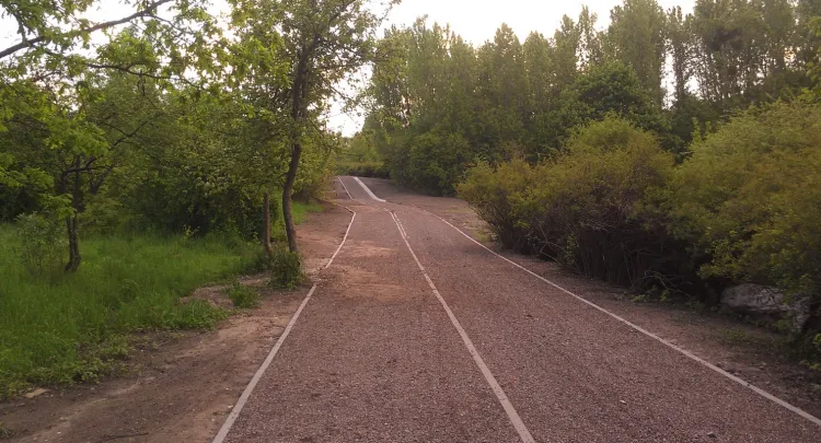 Droga rowerowa w rezerwacie w Kolibkach według urzędników nie mogła zostać pokryta nawierzchnią bitumiczną. 