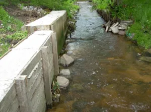 Brudne rzeki i nieuporządkowane tereny nad nimi to efekt działalności samych mieszkańców. Ta fotografia przedstawia rzekę Kaczą płynącą przez ogródki działkowe.