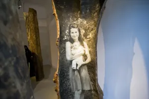 Wystawa Emilie Brzeziński to szesnaście ogromnych, wydrążonych pni drzew, przedstawiających sylwetki artystki i jej rodziny.