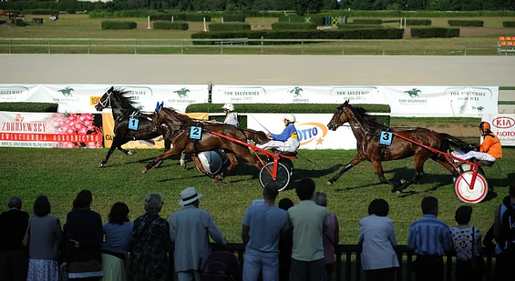 Podczas sopockich wyścigów konnych można obserwować zmagania kłusaków.