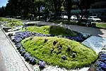 Gdynia kwiatami stoi. Na Skwerze Kościuszki widać starania miejskiego ogrodnika.