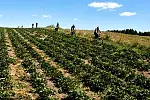 Migawki z całodniowej wycieczki rowerowej z Trójmiata nad kompleks jezior Raduńskich.