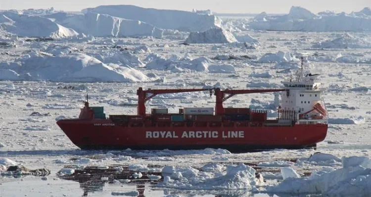 Największy z zamówionych w Remontowa Shipbuildig statków będzie podobny do "Mary Arctica", czyli jednostki zbudowanej w 2005 roku przez GSR dla tego samego armatora. 