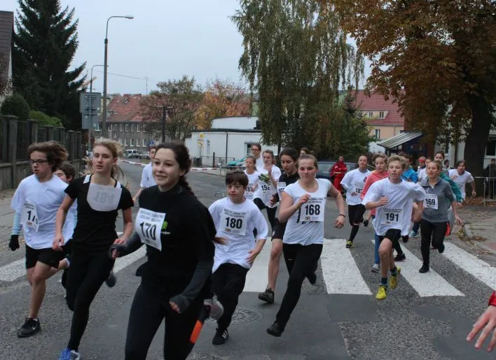 Blisko 230 osób pobiegło w kończących tegoroczny cykl Biegowego GP Dzielnic Gdańska, zawodach na Siedlcach.