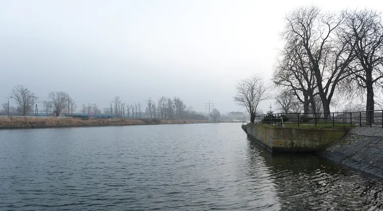 Rzeka Motława w Gdańsku. To tu w przyszłości powstanie przeprawa na drugi brzeg.