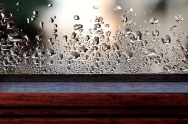 Skraplanie pary wodnej na szybach to powszechne zjawisko, zwłaszcza w okresie zimy, kiedy domowe pomieszczenia są rzadziej wietrzone.