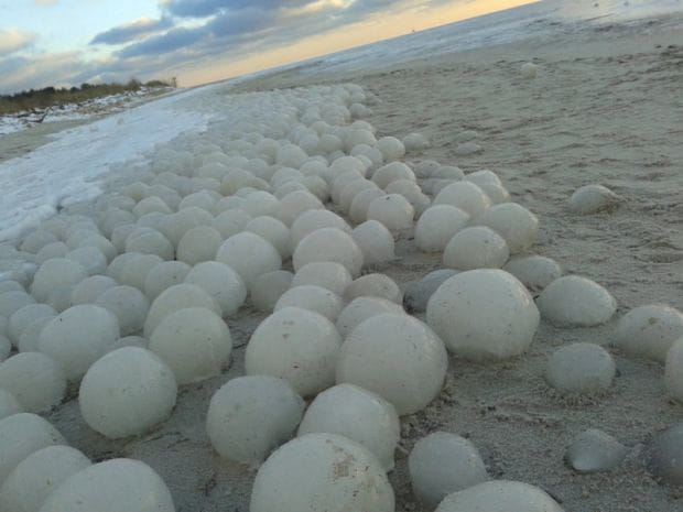 Lodowe kule były atrakcją plaży w Jastarni na Półwyspie Helskim.