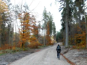 Leśna droga wiodąca wzdłuż ul. Spacerowej jest lepszą alternatywą dla rowerzystów poruszających się między Oliwą a Owczarnią, niż byłaby nią utwardzona ul. Kościerska - uważają radni Oliwy.
