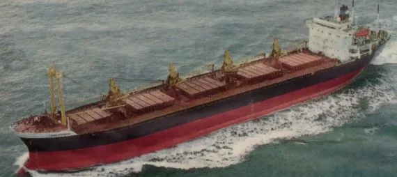 W momencie zatonięcia "Leros Strength" był 21-letnim masowcem, którego właścicielem była spółka Lambda Sea Shipping Co. z siedzibą na Cyprze.