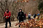 Migawki z wędrówki wzdłuż potoku Cedronu
