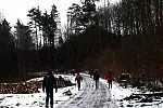 Migawki z wędrówki wzdłuż potoku Cedronu